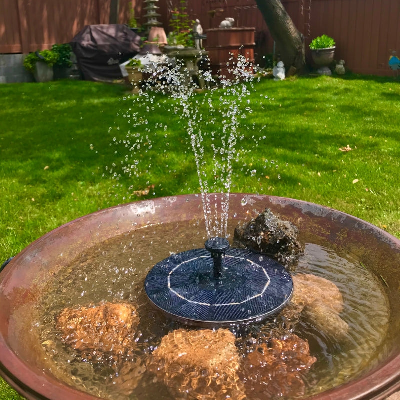 Solcellsdriven fontän i fågelbad i trädgård sprutar vatten högt i solen